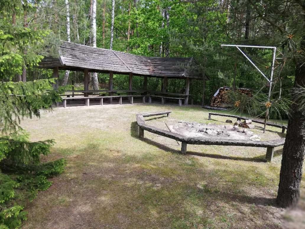 Agroturystyka "Lesne Zacisze Na Podlasiu" Tuczna Exterior foto